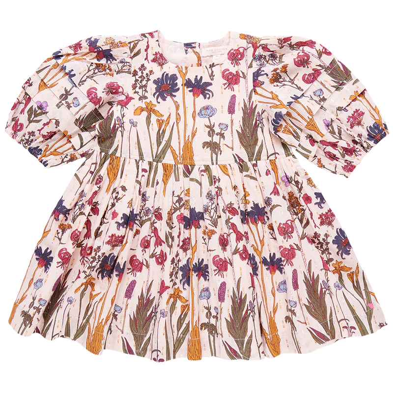 Pink Chicken AUTUMN FLOWERS Girls Brooke Dress